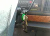 1G4HP53L5PH456892: 32828378