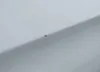 2C4RC1EG8HR534133: 37993729