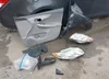 2T1BU4EE4AC296690: 37672912