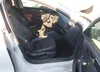 3VWLA7AJ4FM332262: 37681851