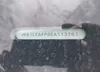 WA1LFAFP6EA113761: 39744974