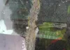 1GCCS1446W8190522: 41002165