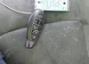 1C6RR7TT0KS654569: 42048503
