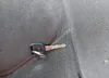 2GTEC19V131195892: 42050959