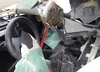 5YJ3E1ETXRF820656: 42084717