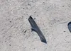 4S3BNAJ67K3021545: 42133951