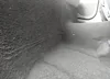 5LMTJ3DHXKUL21088: 42142205