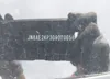 JN8AE2KP3D9070058: 42174495