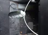 JN8AZ2NE2B9002555: 42195393