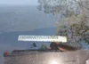 1C4SDJCT2LC287059: 42239415