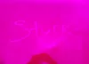 KNDPNCAC6L7631566: 42298338