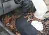 1J4FJ28S4VL547975: 42363966