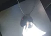 5TDZA23C26S567967: 42395076