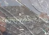 SADCL2BV2HA094403: 42399910