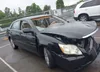 4T1BK36B15U037678: 42435865