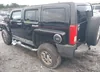 5GTDN136868125923: 42436339