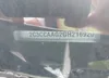 2C3CCAAG2GH216920: 42441823