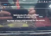 ZPBUA1ZL2NLA18676: 42445938