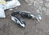 2C4RC1GG2JR351264: 42456185