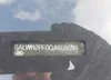 SALWR2PF0GA659599: 42458860
