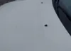 1GKKVRKD3EJ282400: 42504304
