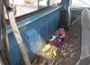 1B7FD04Y8JS787509: 41793153