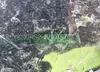 1GYKNCRS2HZ117080: 41838083