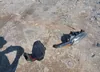 KNDPNCAC8J7390445: 43003616