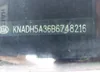KNADH5A36B6748216: 43139298
