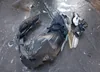 JTDKDTB34C1013239: 43161956