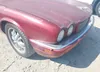 SAJPX1141TC781357: 43234258