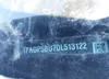 1FADP5BU7DL513122: 43497416