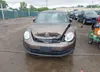 3VWJP7AT2CM638265: 42512449