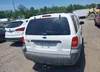 1FMYU93195KA56736: 42529028