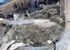 JTEBU5JR8F5217116: 42549497