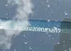 1G1FF1R70P0113402: 42611679