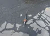 1N6ED1EK0RN644461: 42618837
