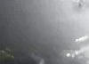 1GKFK16Z95J213308: 42651508