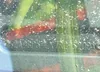 2A4GP54LX7R295209: 42710834