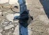 JN1BV7AR4EM695666: 44143275