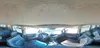 4A4MM31S67E075976: 54452315