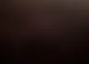 1GB0G2CA0C1166551: 52700645