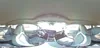 3GNKDGRJXSS110056: 53807035