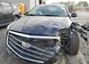 2G61M5S3XJ9174780: 55019505