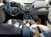 5NPDH4AE8EH460917: 54416315
