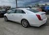 2G61M5S31K9119538: 55094165