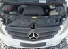 WD4PG2EE1H3265634: 61194655