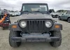 1J4FY19S8WP787240: 59595905