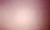 WA1AAAFY8M200351: 59569575