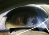 JM1CR293890342935: 61555035